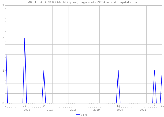 MIGUEL APARICIO ANERI (Spain) Page visits 2024 
