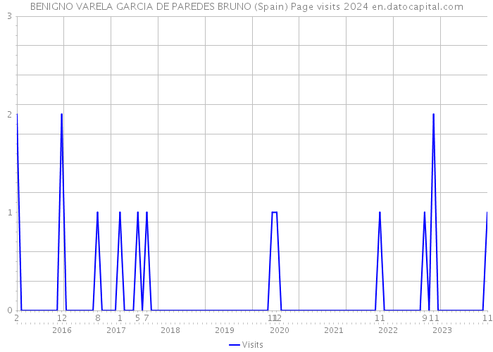 BENIGNO VARELA GARCIA DE PAREDES BRUNO (Spain) Page visits 2024 