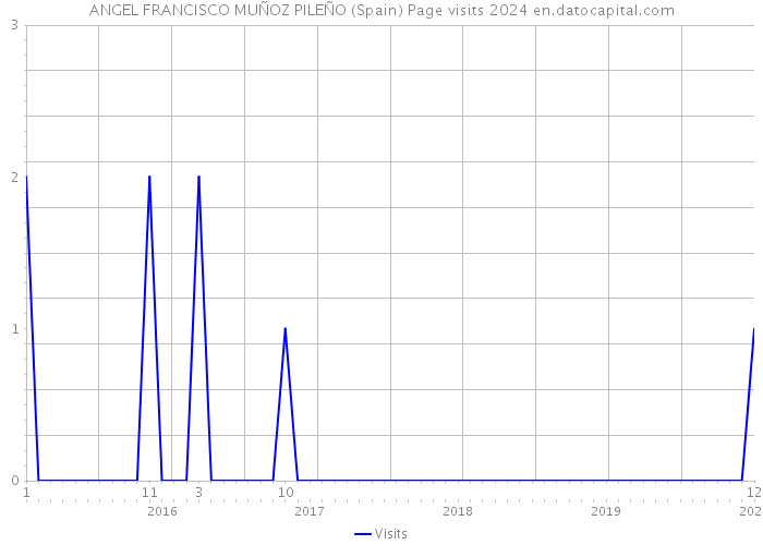 ANGEL FRANCISCO MUÑOZ PILEÑO (Spain) Page visits 2024 