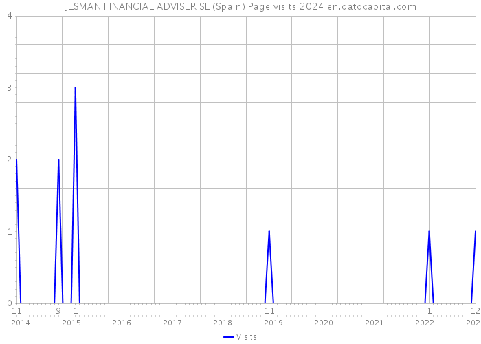 JESMAN FINANCIAL ADVISER SL (Spain) Page visits 2024 