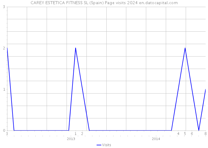 CAREY ESTETICA FITNESS SL (Spain) Page visits 2024 