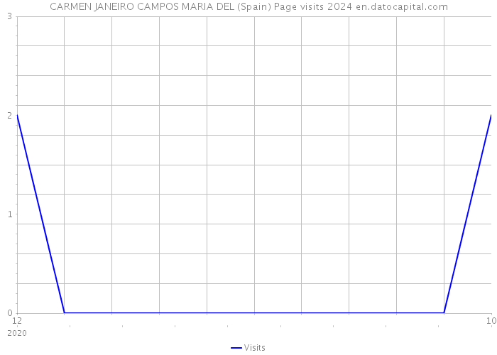 CARMEN JANEIRO CAMPOS MARIA DEL (Spain) Page visits 2024 