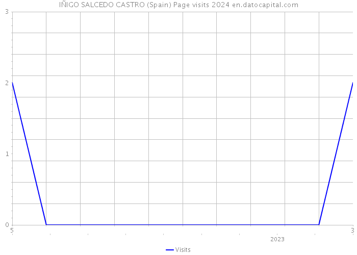 IÑIGO SALCEDO CASTRO (Spain) Page visits 2024 