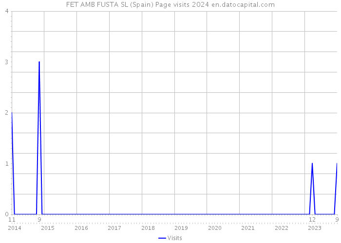 FET AMB FUSTA SL (Spain) Page visits 2024 