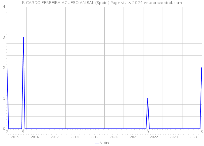 RICARDO FERREIRA AGUERO ANIBAL (Spain) Page visits 2024 