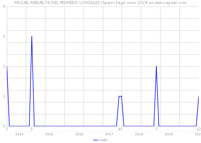 MIGUEL REBUELTA DEL PEDREDO GONZALEZ (Spain) Page visits 2024 