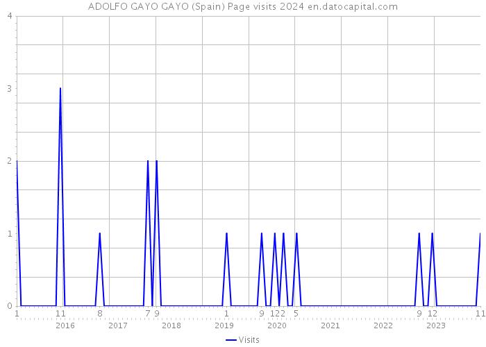 ADOLFO GAYO GAYO (Spain) Page visits 2024 