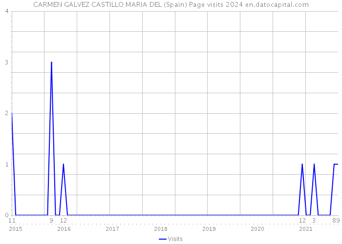 CARMEN GALVEZ CASTILLO MARIA DEL (Spain) Page visits 2024 