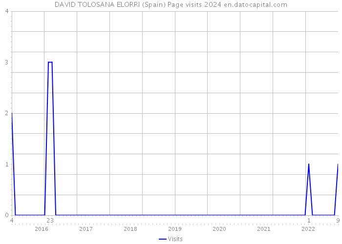 DAVID TOLOSANA ELORRI (Spain) Page visits 2024 