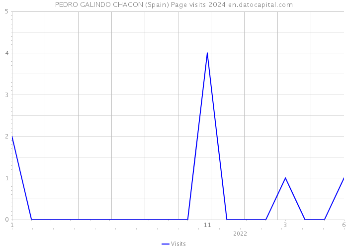 PEDRO GALINDO CHACON (Spain) Page visits 2024 