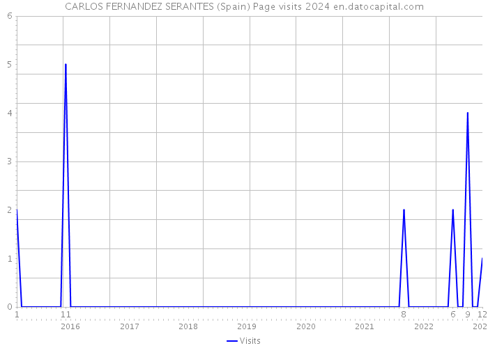 CARLOS FERNANDEZ SERANTES (Spain) Page visits 2024 