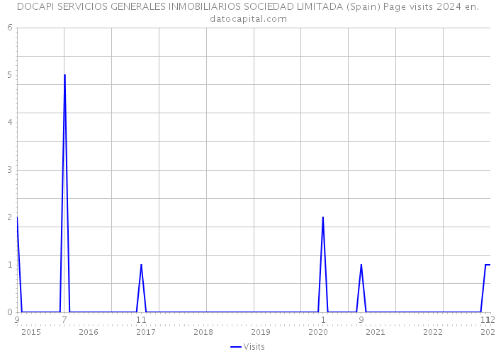DOCAPI SERVICIOS GENERALES INMOBILIARIOS SOCIEDAD LIMITADA (Spain) Page visits 2024 