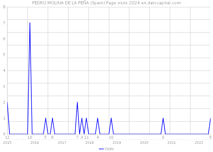 PEDRO MOLINA DE LA PEÑA (Spain) Page visits 2024 