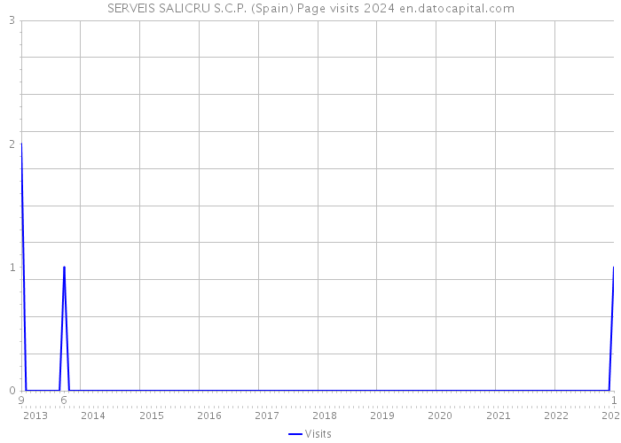 SERVEIS SALICRU S.C.P. (Spain) Page visits 2024 