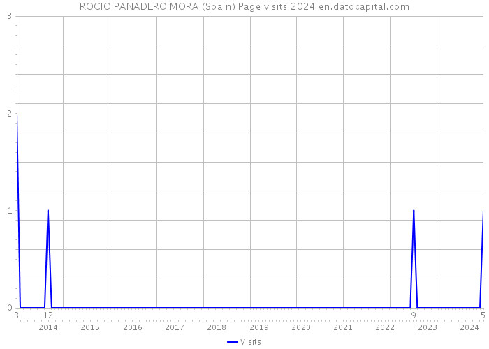 ROCIO PANADERO MORA (Spain) Page visits 2024 