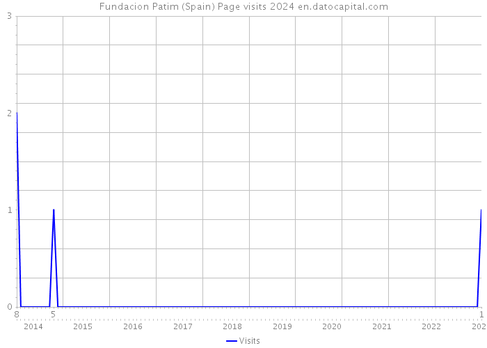 Fundacion Patim (Spain) Page visits 2024 