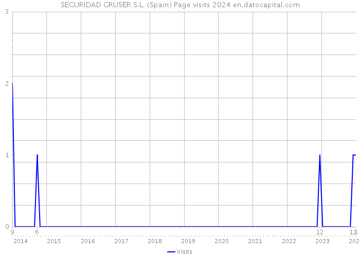 SEGURIDAD GRUSER S.L. (Spain) Page visits 2024 