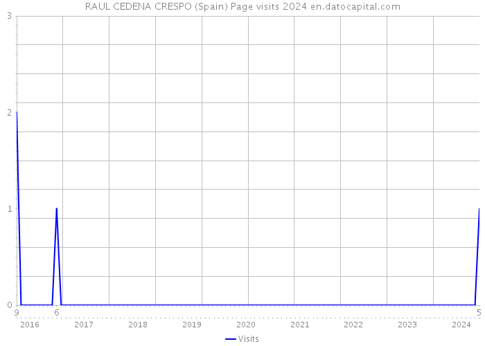 RAUL CEDENA CRESPO (Spain) Page visits 2024 