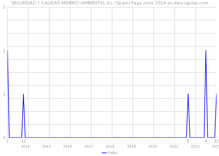 SEGURIDAD Y CALIDAD MINERO-AMBIENTAL S.L. (Spain) Page visits 2024 