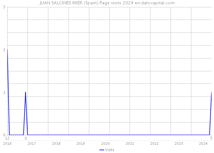 JUAN SALCINES MIER (Spain) Page visits 2024 
