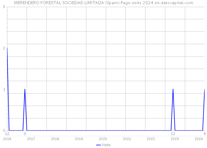 MERENDERO FORESTAL SOCIEDAD LIMITADA (Spain) Page visits 2024 