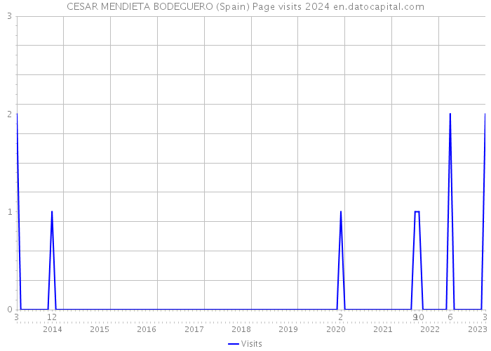 CESAR MENDIETA BODEGUERO (Spain) Page visits 2024 