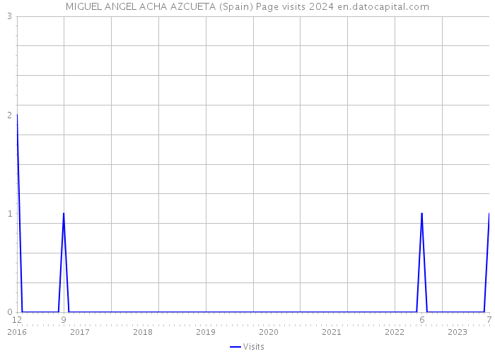 MIGUEL ANGEL ACHA AZCUETA (Spain) Page visits 2024 