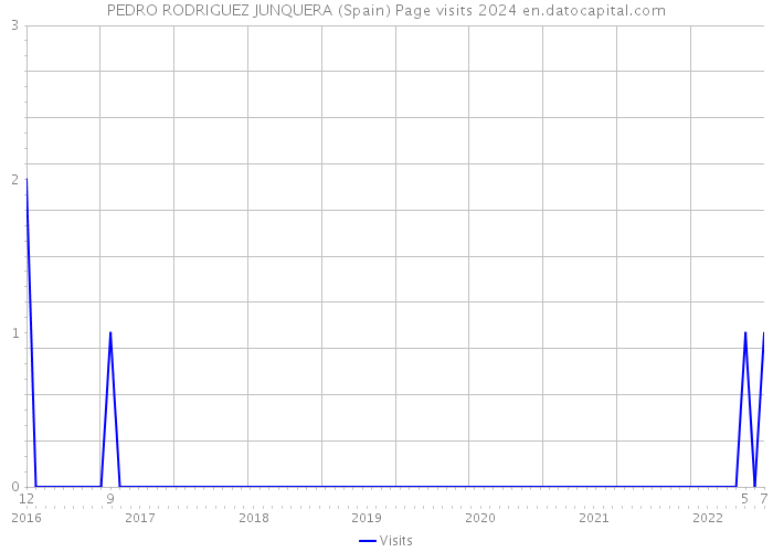 PEDRO RODRIGUEZ JUNQUERA (Spain) Page visits 2024 