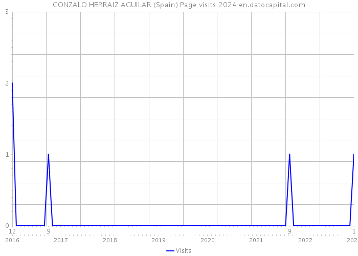 GONZALO HERRAIZ AGUILAR (Spain) Page visits 2024 