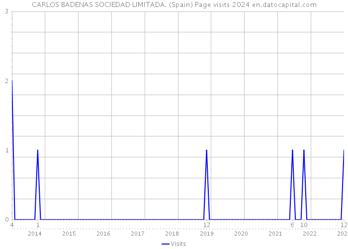 CARLOS BADENAS SOCIEDAD LIMITADA. (Spain) Page visits 2024 