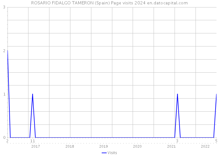 ROSARIO FIDALGO TAMERON (Spain) Page visits 2024 