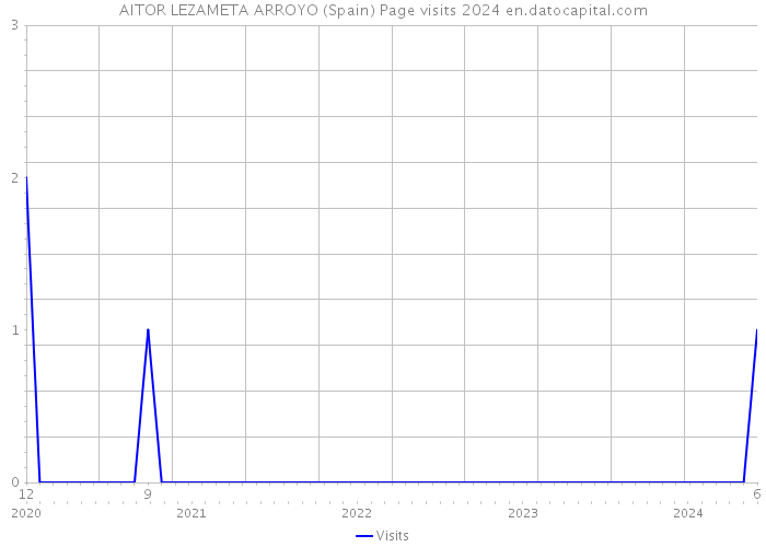 AITOR LEZAMETA ARROYO (Spain) Page visits 2024 