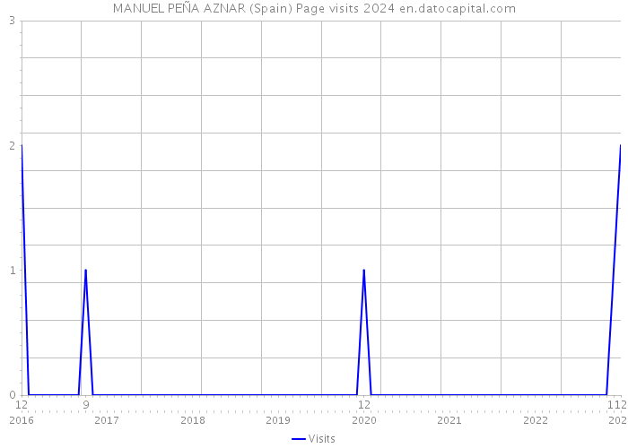 MANUEL PEÑA AZNAR (Spain) Page visits 2024 