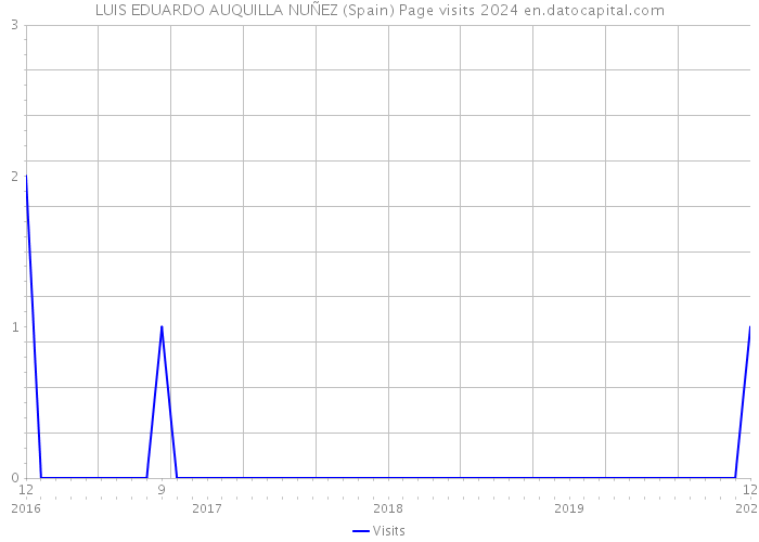 LUIS EDUARDO AUQUILLA NUÑEZ (Spain) Page visits 2024 