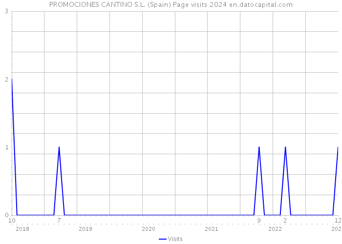 PROMOCIONES CANTINO S.L. (Spain) Page visits 2024 