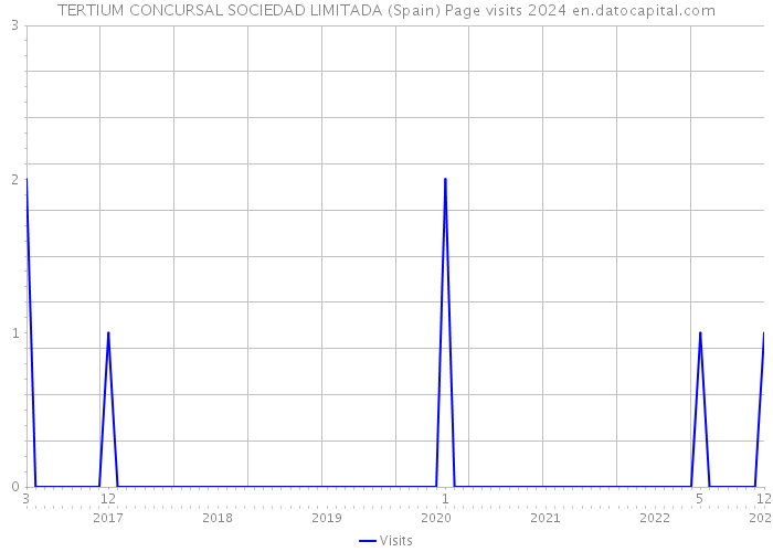 TERTIUM CONCURSAL SOCIEDAD LIMITADA (Spain) Page visits 2024 