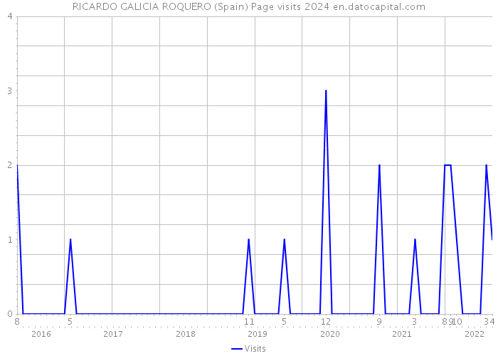RICARDO GALICIA ROQUERO (Spain) Page visits 2024 