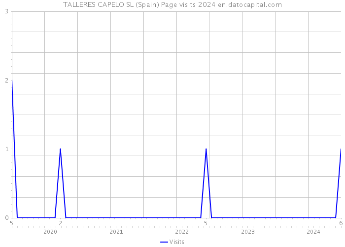TALLERES CAPELO SL (Spain) Page visits 2024 