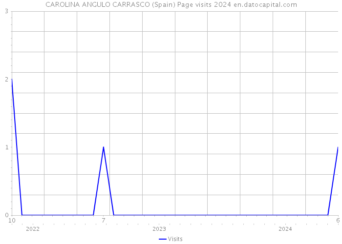 CAROLINA ANGULO CARRASCO (Spain) Page visits 2024 