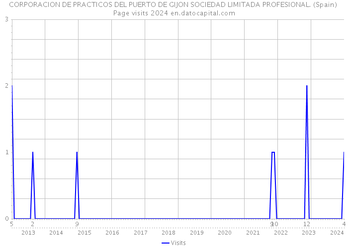 CORPORACION DE PRACTICOS DEL PUERTO DE GIJON SOCIEDAD LIMITADA PROFESIONAL. (Spain) Page visits 2024 