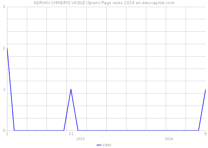 ADRIAN CHINDRIS VASILE (Spain) Page visits 2024 