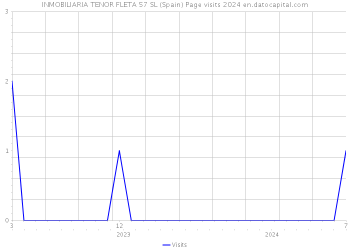 INMOBILIARIA TENOR FLETA 57 SL (Spain) Page visits 2024 