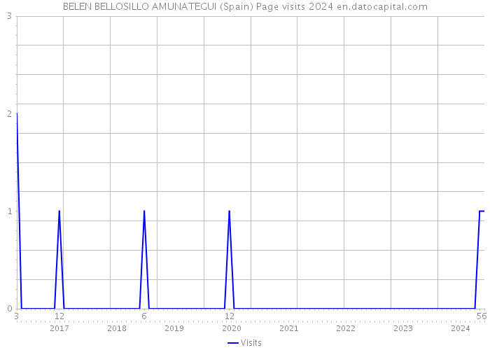 BELEN BELLOSILLO AMUNATEGUI (Spain) Page visits 2024 