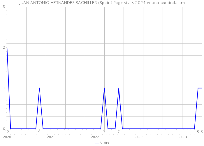 JUAN ANTONIO HERNANDEZ BACHILLER (Spain) Page visits 2024 