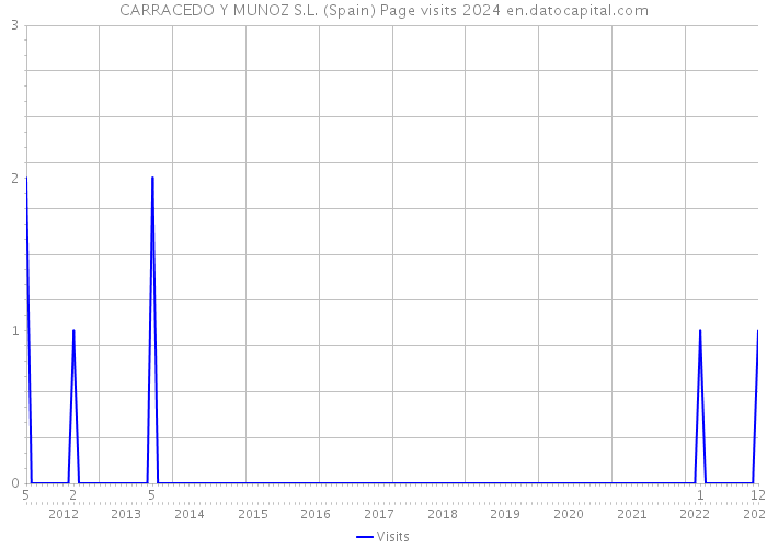 CARRACEDO Y MUNOZ S.L. (Spain) Page visits 2024 
