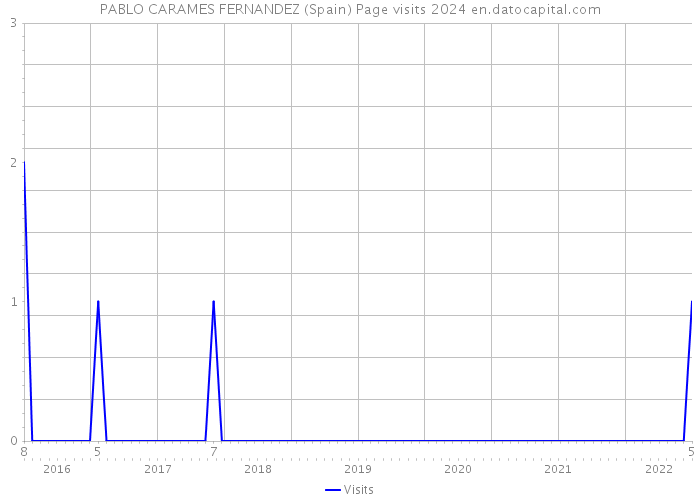 PABLO CARAMES FERNANDEZ (Spain) Page visits 2024 