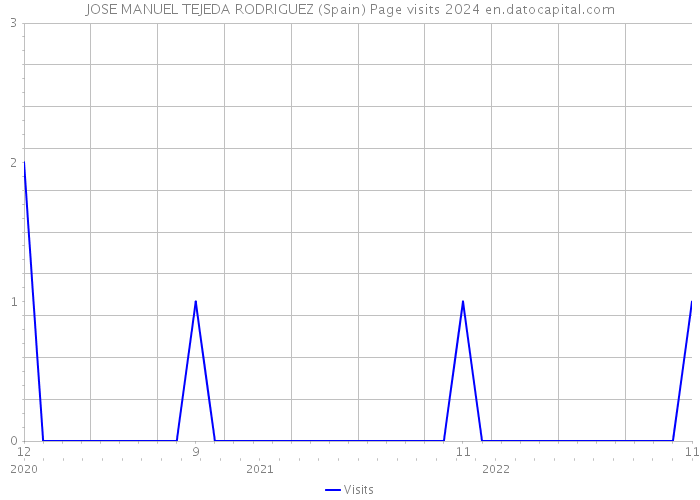 JOSE MANUEL TEJEDA RODRIGUEZ (Spain) Page visits 2024 