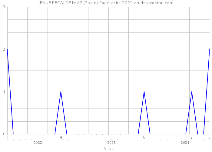 IBANE RECALDE IMAZ (Spain) Page visits 2024 
