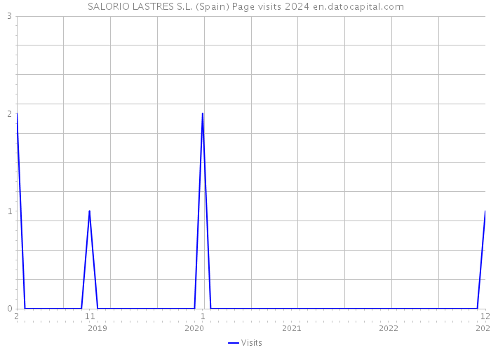 SALORIO LASTRES S.L. (Spain) Page visits 2024 