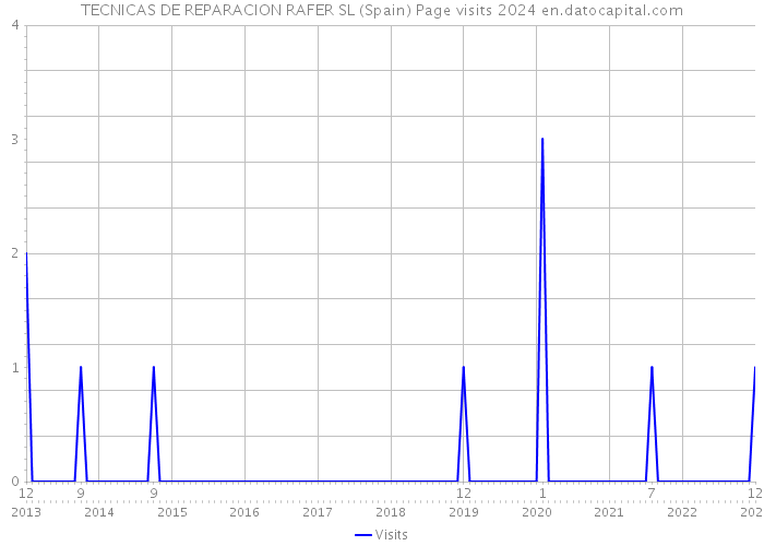 TECNICAS DE REPARACION RAFER SL (Spain) Page visits 2024 